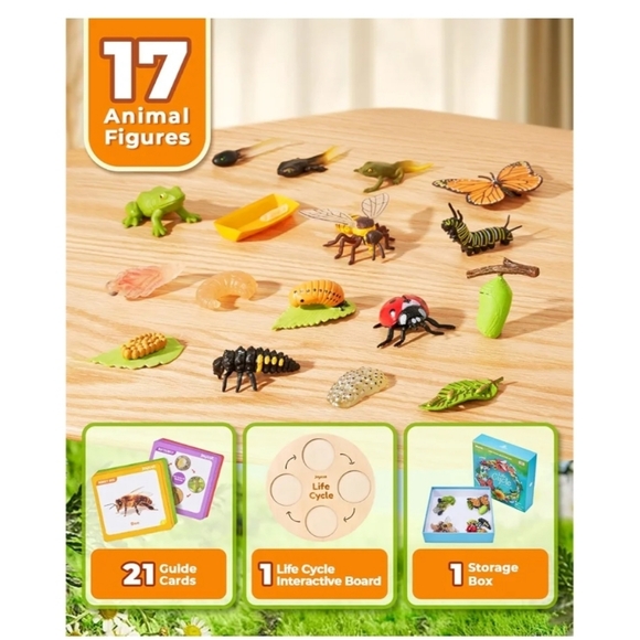 Life Cycle Learning Set - Multicolor - Picture 2 of 5